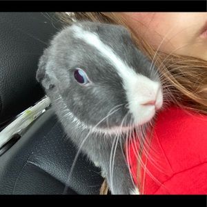 Meet your Posher, Lori